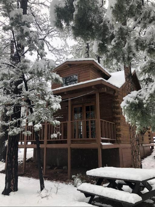 Forest Cabin 2 Birds Nest ペイソン エクステリア 写真